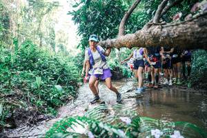 BIB: 
                            <button type="button" onclick="openModal(25466750)" class="btn btn-primary btn-sm float-right btn-popup" data-toggle="modal" data-target=".modal-high-quality">
                        <i class="fas fa-shopping-cart"></i> Add to Cart
                    </button>
                                            <button type="button" onclick="isThisMe(25466750, true)" class="btn btn-success btn-sm float-right btn-popup btn-isme hidden" data-toggle="tooltip" data-placement="bottom" title="นี่คือรูปของคุณใช่ไหม คลิกที่นี่เพื่อเอาเข้าอัลบั้ม">
                        <i class="fas fa-plus"></i> Add to album
                    </button>
                    <button type="button" onclick="isThisMe(25466750, false)" class="btn btn-warning btn-sm float-right btn-popup btn-isnotme hidden">
                        <i class="fas fa-ban"></i> Remove from album
                    </button>